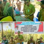 screenshot_2025-09-16-07-00-28-88370901420404843858-451x381 (1)