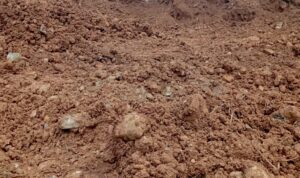 Screenshot_20251207-103701~2